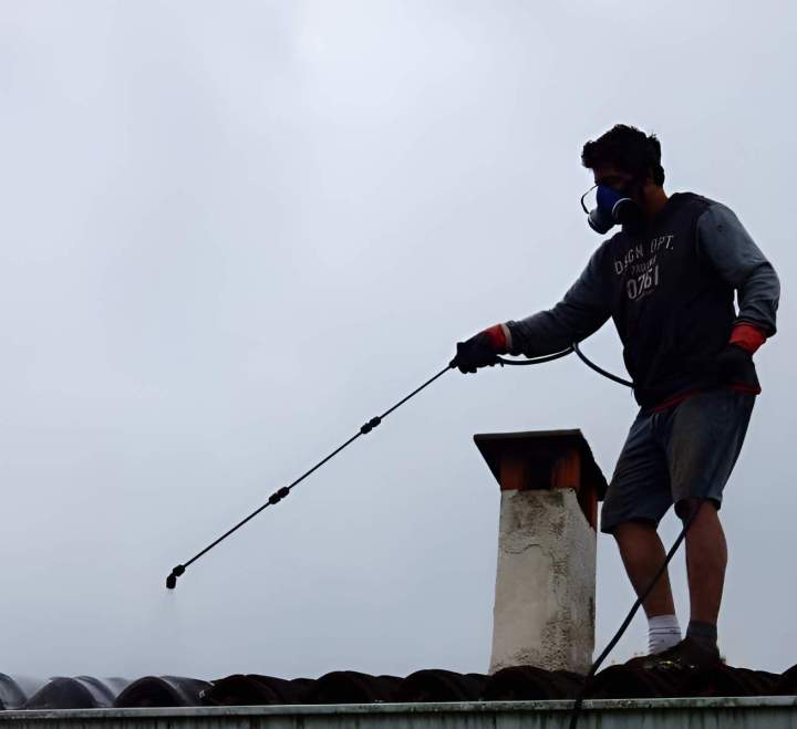 Entretien pour une toiture saine et durable