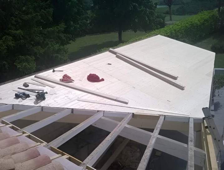 Petite réparation de charpente Saint-Pierre