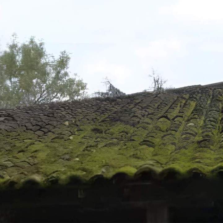 Avant opération démoussage toiture Saint-Pierre